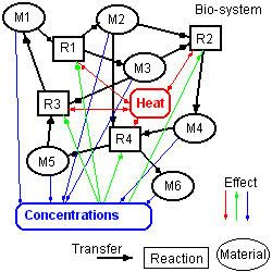 bioSystem.gif (5347 bytes)